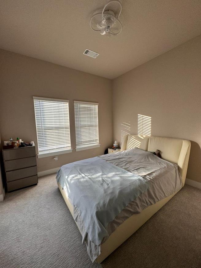 9629 Petrichor Blvd Bedroom 3